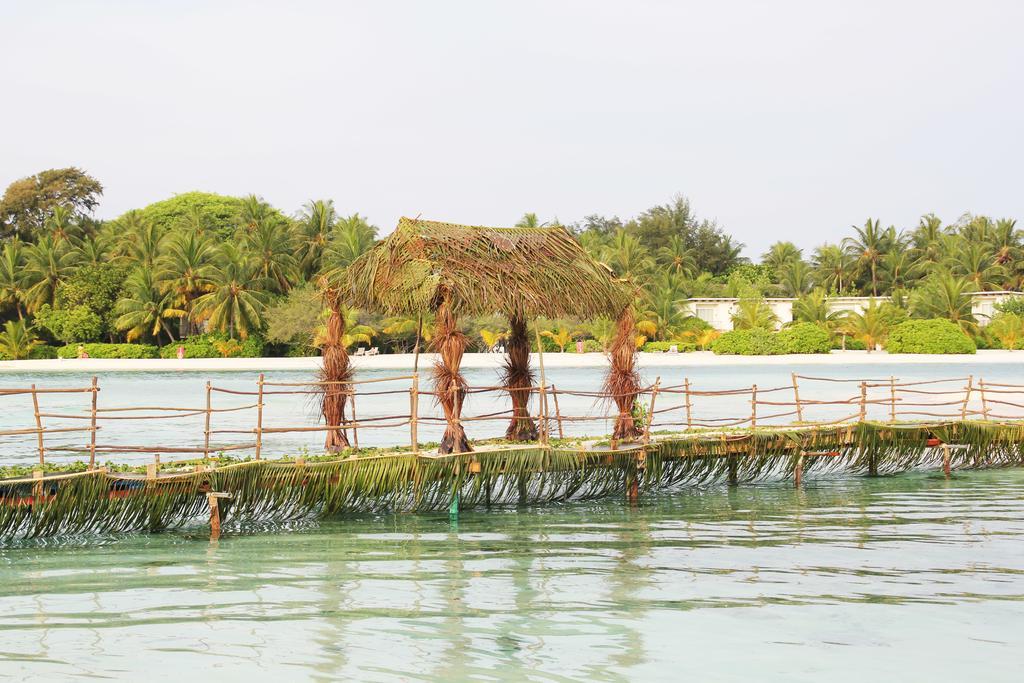 Kaafu Inn Guraidhoo Extérieur photo
