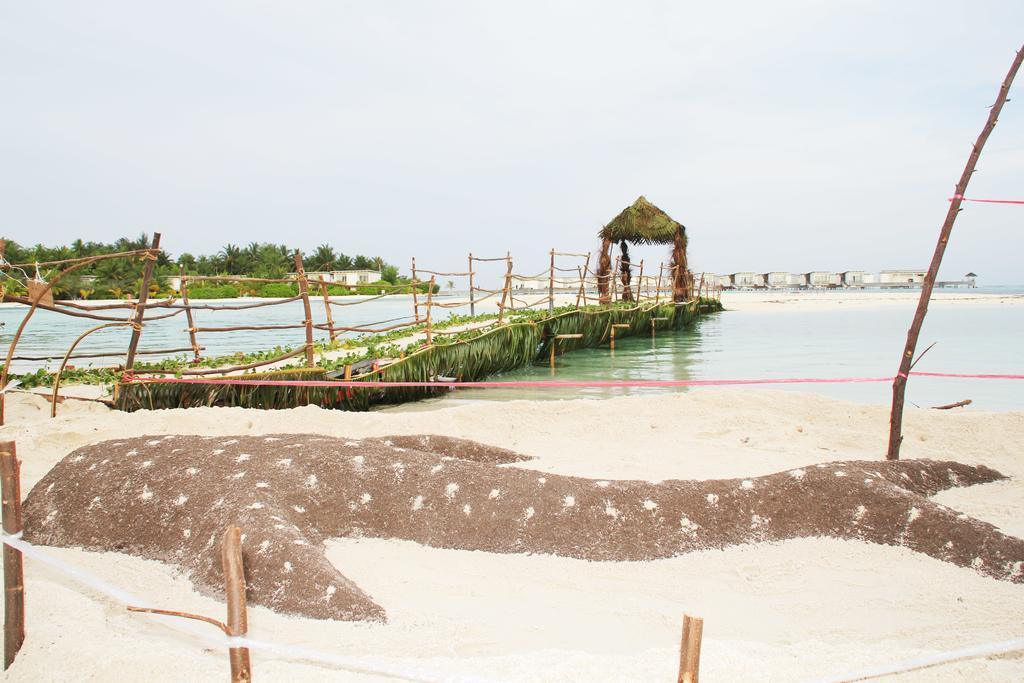Kaafu Inn Guraidhoo Extérieur photo