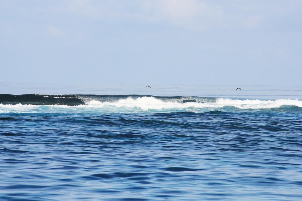Kaafu Inn Guraidhoo Extérieur photo